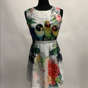 NWT parrots print dress